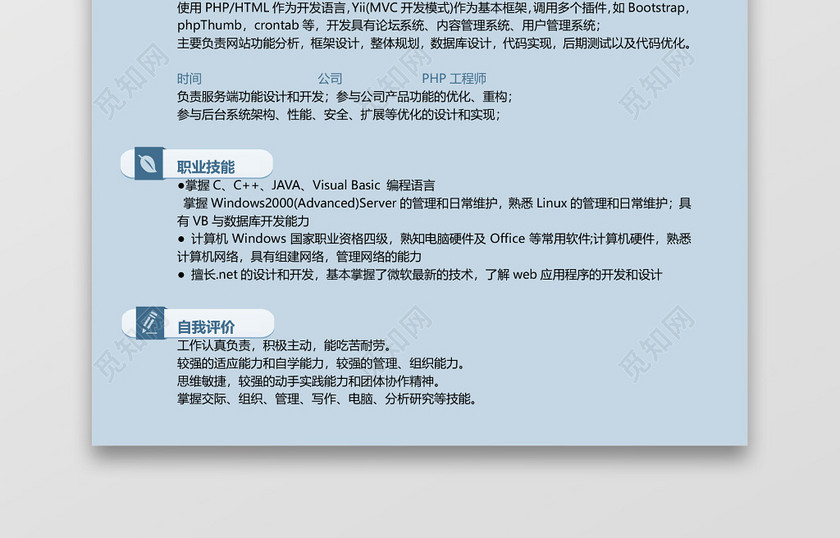 蓝色计算机程序员互联网简历 蓝色计算机程序员互联网简历