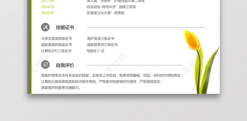 彩色护士个人模板简历 彩色护士个人模板简历