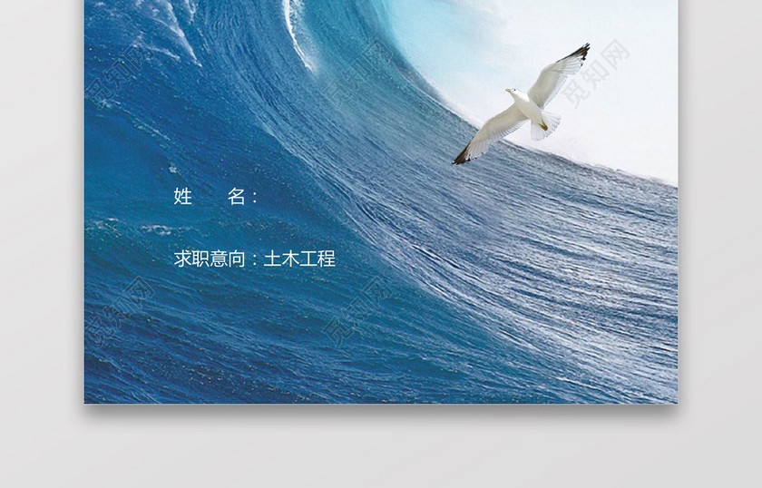 土木工程师个人简历 土木工程师个人简历