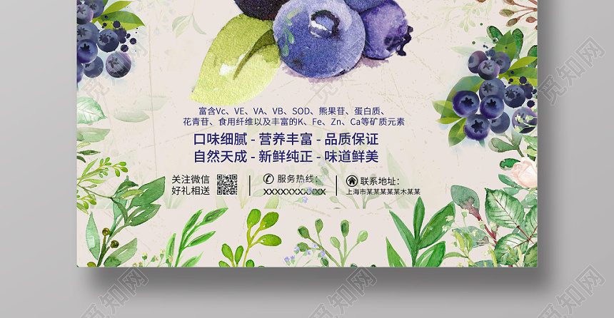 小清新手绘水果蓝莓促销海报