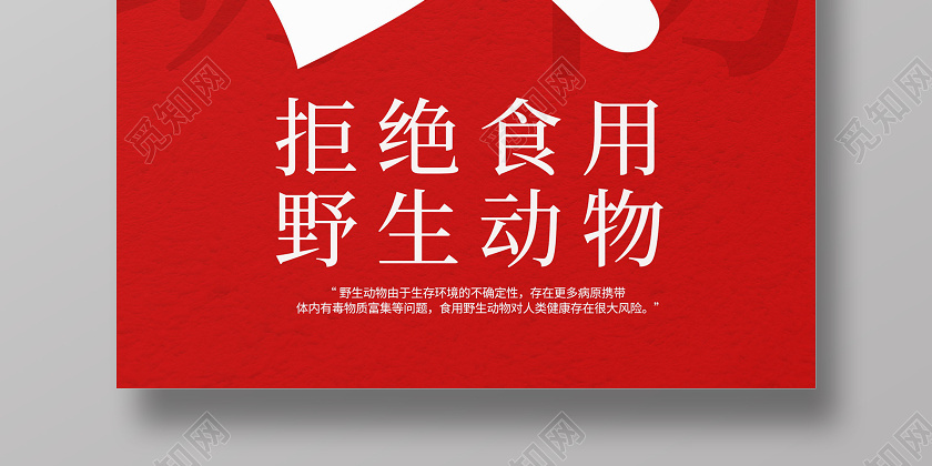 红色简约拒绝食用野味保护野生动物海报