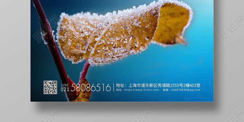 简约二十四节气霜降宣传海报 简约二十四节气霜降宣传海报