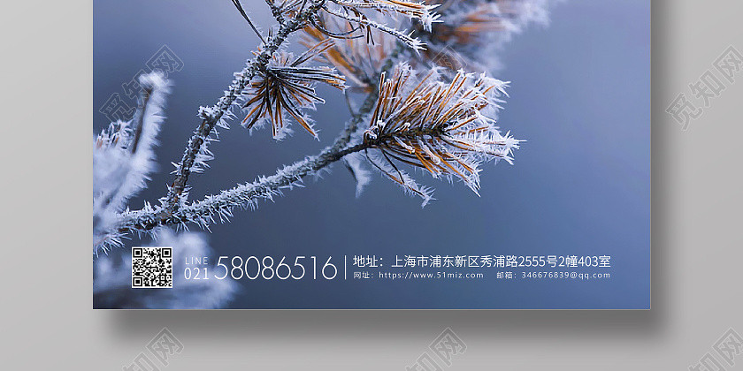 紫色简约二十四节气霜降宣传海报 紫色简约二十四节气霜降宣传海报