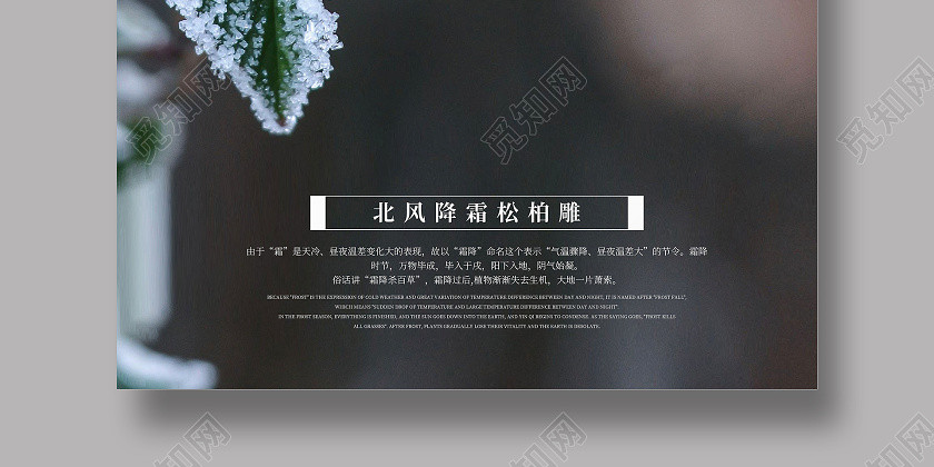 绿棕色简约霜降二十四节气宣传海报 绿棕色简约霜降二十四节气宣传海报