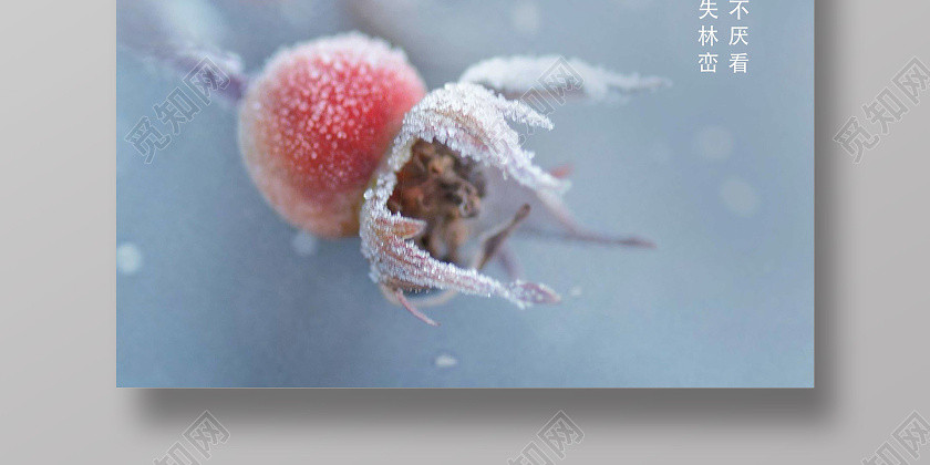 蓝色简约小雪二十四节气海报 蓝色简约小雪二十四节气海报