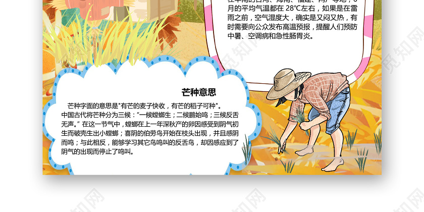 卡通二十四节气芒种节气丰收麦子收获手抄报